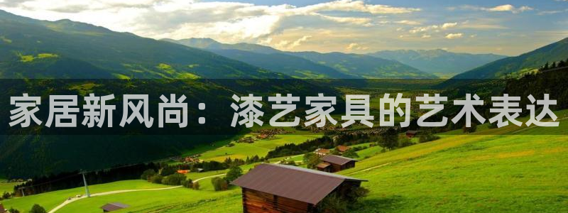 龙八国际彩金购买