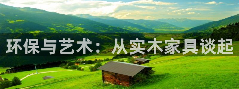 不会玩龙八国际