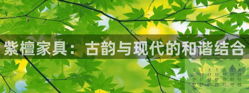 龙八国际手机客户端下载app