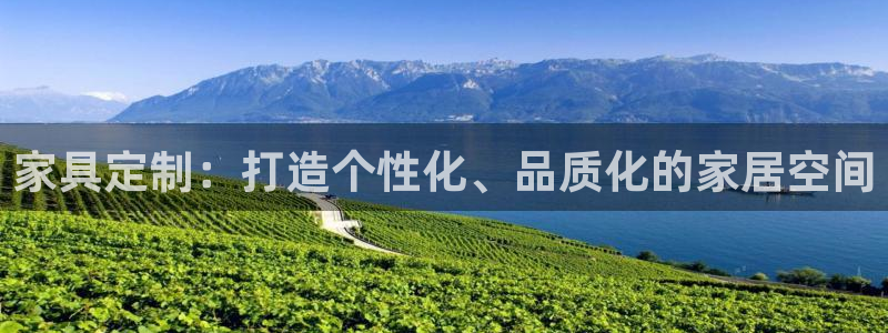 龙八国际网b48点tv