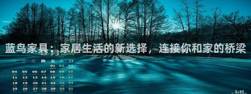 龙八国际下载安装