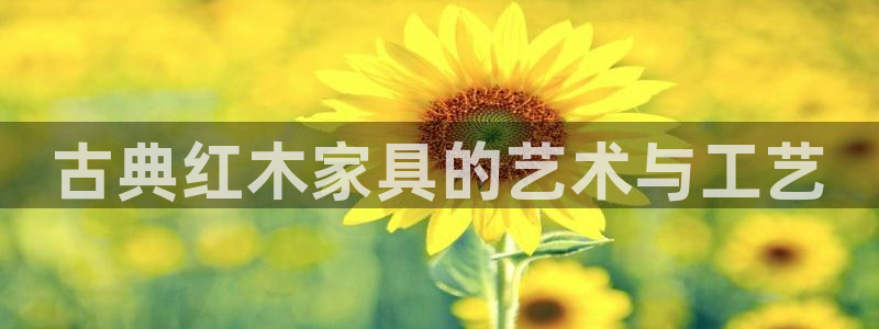 龙八国际游戏登录