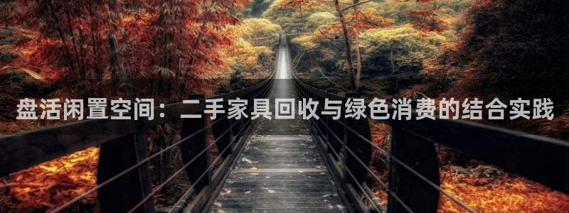 龙八国际是干什么的