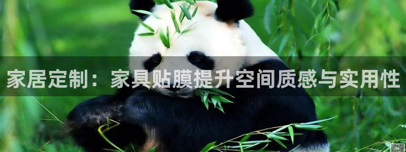 龙八国际官网入口