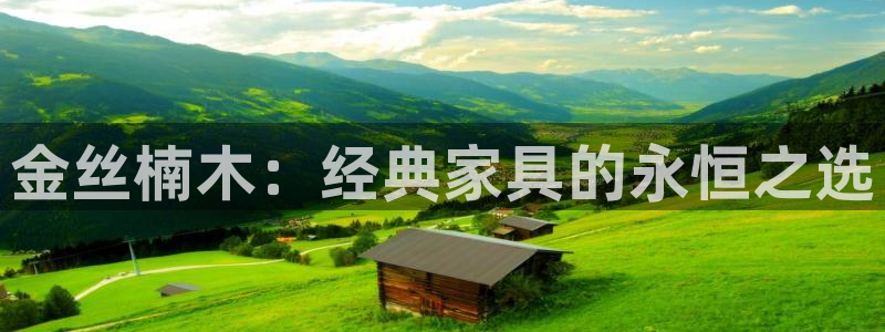 龙八国际娱乐网址