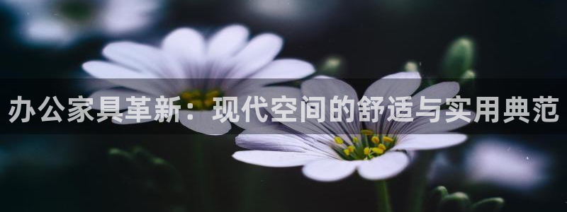 手机版龙八国际服客服