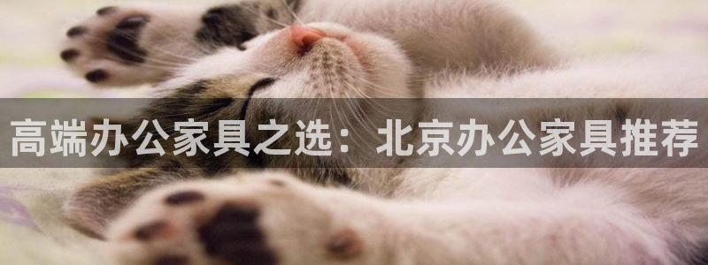 龙八国际体育：高端办公家具之选：北京办公家具推荐