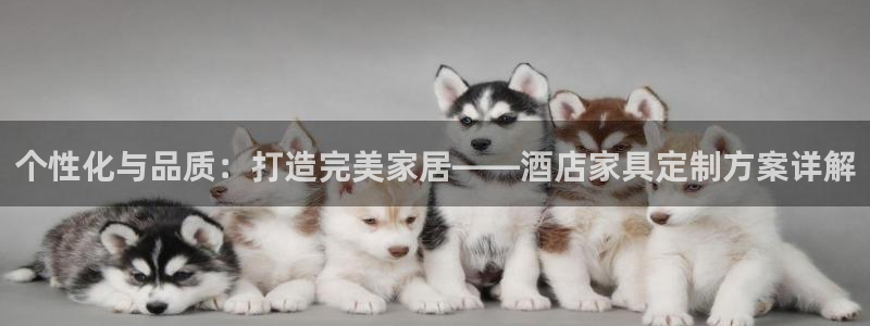 龙八国际官网网址