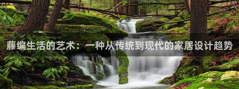 龙八国际手机版首页