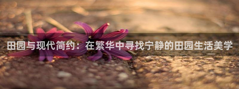 龙八国际娱乐地