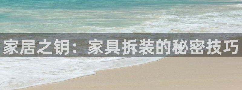头号玩家龙八国际