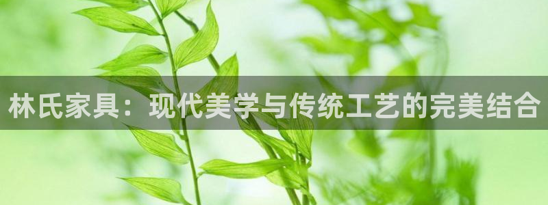 搜索 龙八国际
