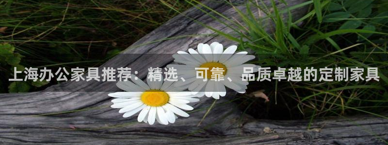 龙八国际服官网入口