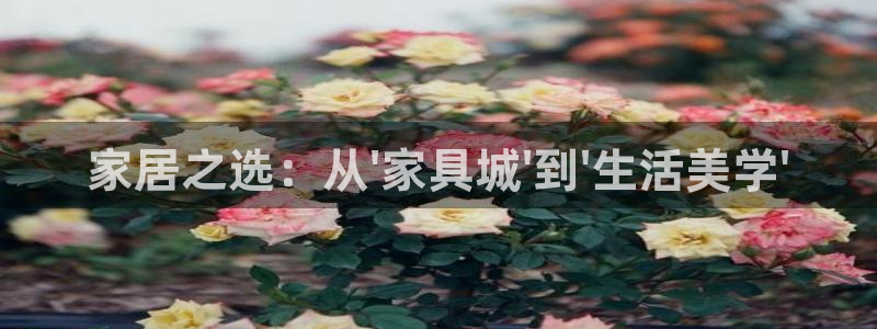 手机版龙八国际