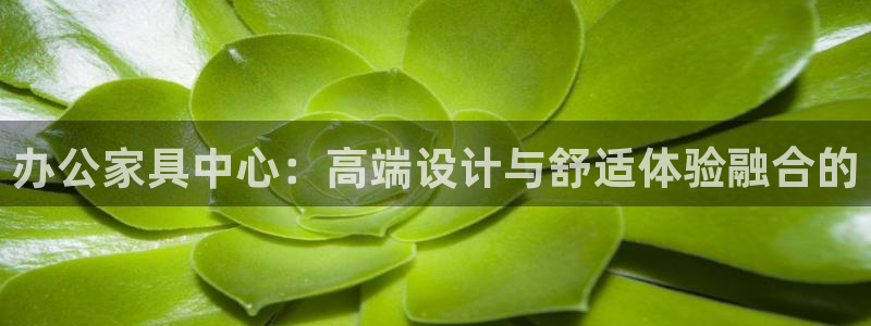 不会玩龙八国际
