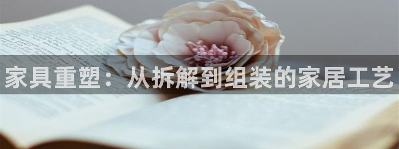 龙八国际mg老虎机
