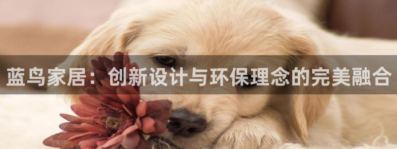 龙八国际app客户端下载不了
