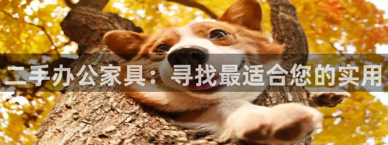 龙八国际花园宝宝