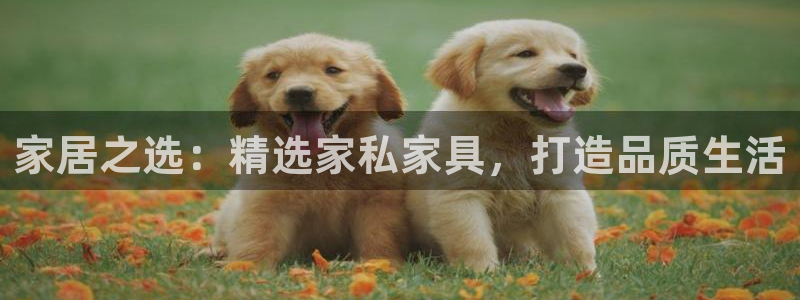 龙八国际游戏下载：家居之选：精选家私家具，打造品质生活