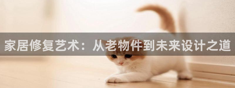 龙八国际apPP