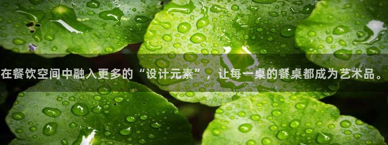 龙八国际黑吗