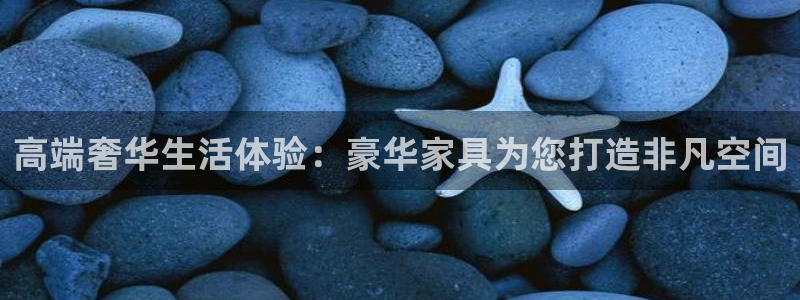 龙八国际2023