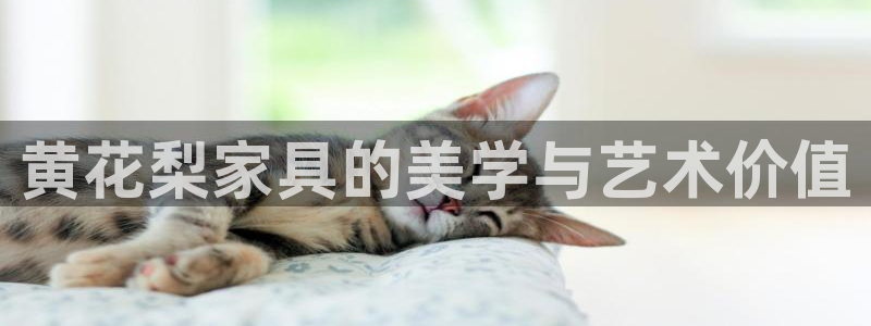 龙八国际手机版下载安装