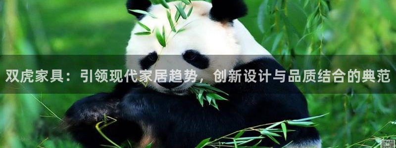 龙八国际app手机版下载苹果