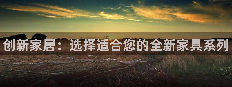 龙八国际股票