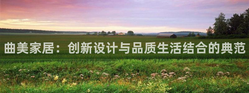 龙八国际是干什么的