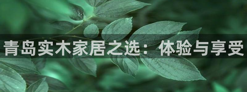 龙八国际是什么软件