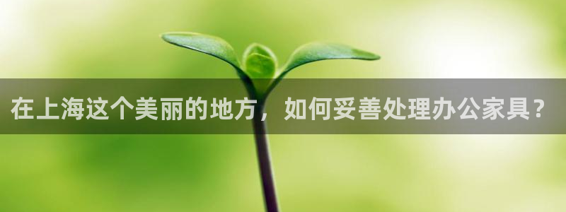 龙八国际app客户端