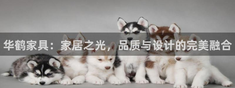 龙八国际官网手机版登陆