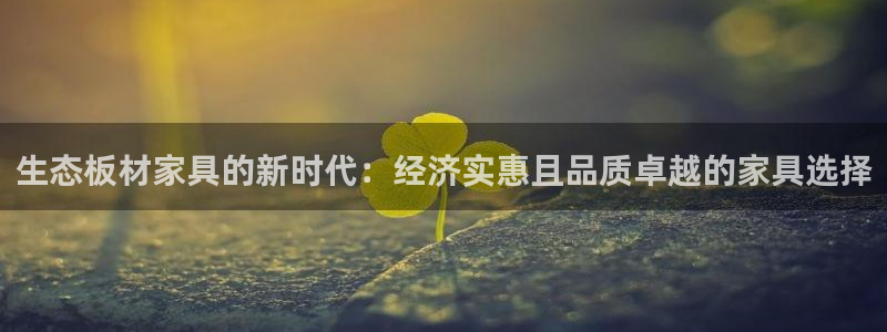 龙八国际网站多少