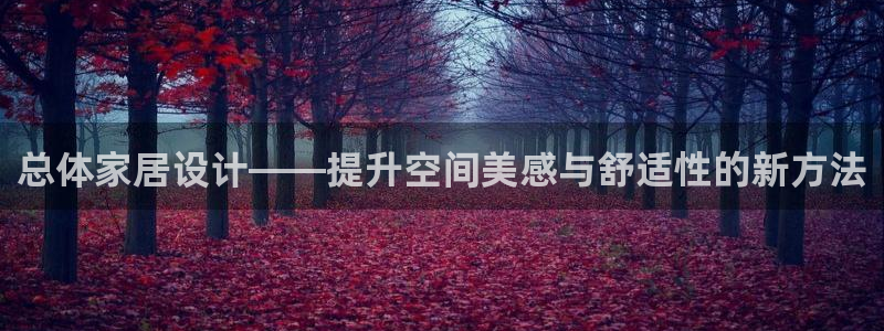 打开龙八国际