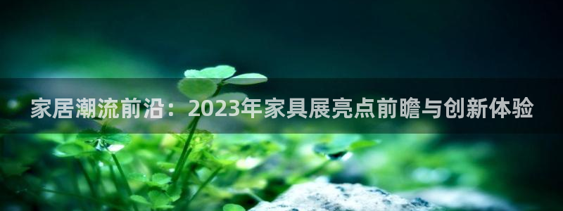 龙八国际娱乐网站多少