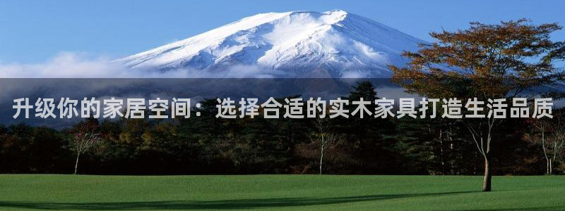 龙八国际技巧