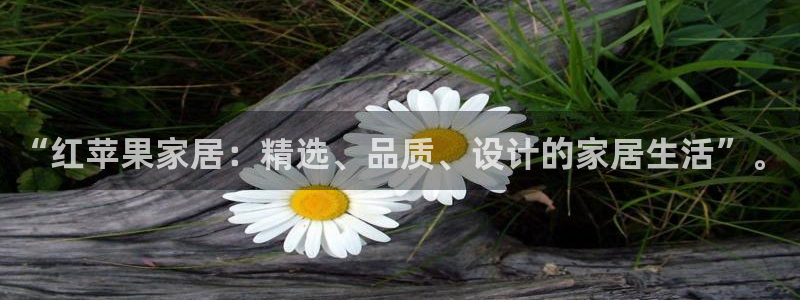 龙八国际手机版下载安卓