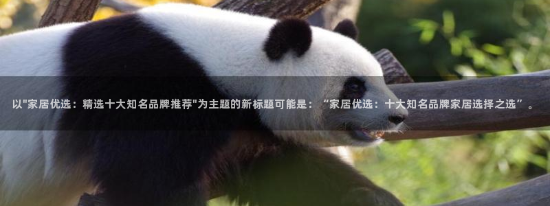龙八国际手机版官网平台：以\