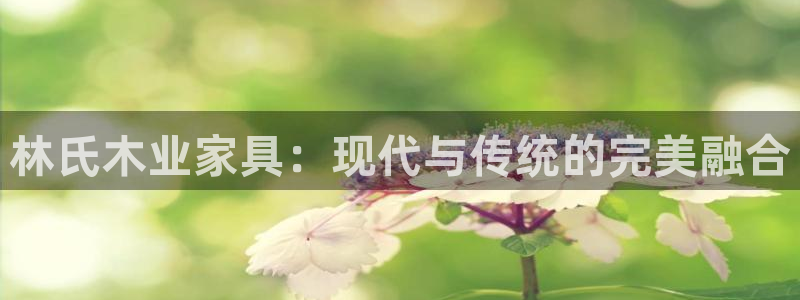 龙八国际网站