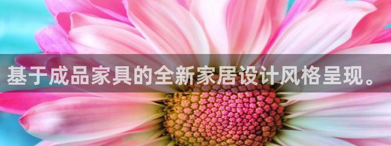 龙八国际这个平台在哪里