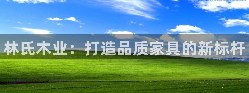 龙八国际娱乐二维码