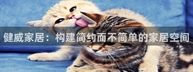 龙八国际娱乐会所