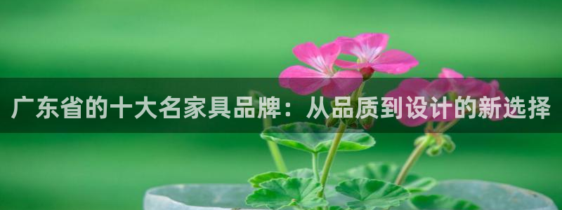 龙八国际在哪里啊