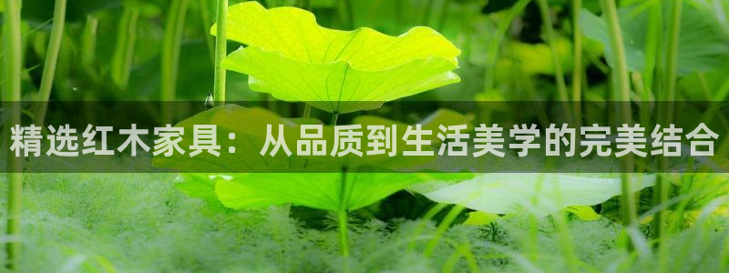 龙八国际娱乐网