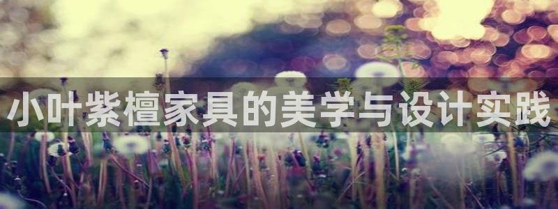 龙八国际b48点tv