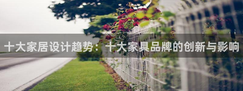 石家庄龙八国际老板是谁