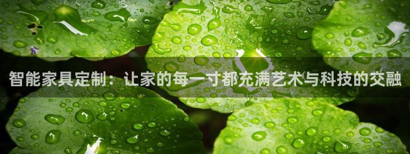龙八国际游戏娱乐