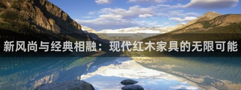 龙八国际怎么注册安卓