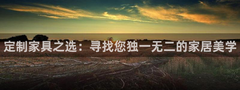 龙八国际集团有限公司